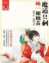 贅婿系統