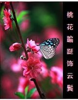 紅黑色的木頭墻【第二更】