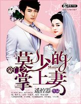 全職法師之大梟雄