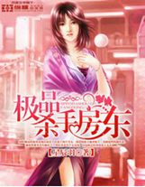蘭斯風云進化錄