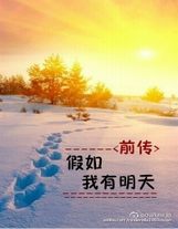 我突破的太快了從火影開始的無限技能樹
