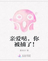 李霓裳的決定